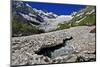 Alibek Glacier in Alibek Valley Near Dombay, Teberdinsky Biosphere Reserve, Caucasus, Russia-Schandy-Mounted Photographic Print