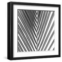 Alicante Noir-Ben Wood-Framed Giclee Print