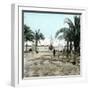 Alicante (Spain), the Esplanade of Spain (Formerly Walk of the Martyrs) on the Port Side-Leon, Levy et Fils-Framed Premium Photographic Print