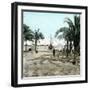 Alicante (Spain), the Esplanade of Spain (Formerly Walk of the Martyrs) on the Port Side-Leon, Levy et Fils-Framed Photographic Print