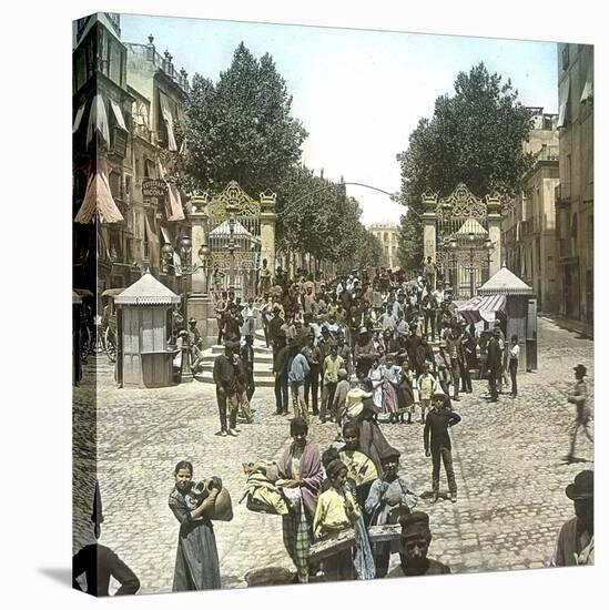 Alicante (Spain), the Paseo (Promenade) or Mendez Núñez Avenue, Circa 1885-1890-Leon, Levy et Fils-Stretched Canvas