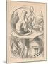 'Alice and the caterpillar', 1889-John Tenniel-Mounted Giclee Print