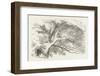 Alice and the Cheshire Cat the Cheshire Cat Fades Away-John Tenniel-Framed Photographic Print