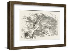 Alice and the Cheshire Cat the Cheshire Cat Fades Away-John Tenniel-Framed Photographic Print