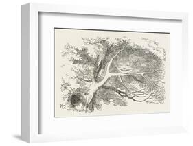 Alice and the Cheshire Cat the Cheshire Cat Fades Away-John Tenniel-Framed Photographic Print