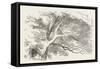 Alice and the Cheshire Cat the Cheshire Cat Fades Away-John Tenniel-Framed Stretched Canvas