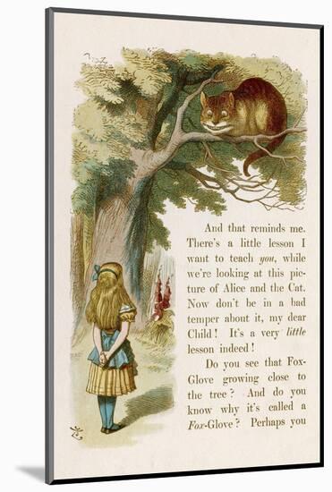 Alice and the Cheshire Cat-John Tenniel-Mounted Photographic Print