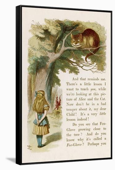 Alice and the Cheshire Cat-John Tenniel-Framed Stretched Canvas