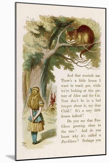 Alice and the Cheshire Cat-John Tenniel-Mounted Photographic Print