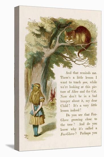 Alice and the Cheshire Cat-John Tenniel-Stretched Canvas
