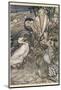 Alice and the Dodo-Arthur Rackham-Mounted Photographic Print