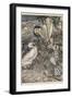 Alice and the Dodo-Arthur Rackham-Framed Photographic Print