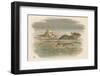 Alice and the Pool of Tears Swimming in It with a Mouse-John Tenniel-Framed Photographic Print