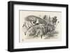 Alice and the Red Queen Fly Hand-In-Hand-John Tenniel-Framed Photographic Print