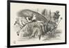 Alice and the Red Queen Fly Hand-In-Hand-John Tenniel-Framed Photographic Print