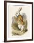 Alice and the White Rabbit-John Tenniel-Framed Photographic Print