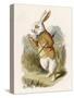 Alice and the White Rabbit-John Tenniel-Stretched Canvas