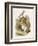 Alice and the White Rabbit-John Tenniel-Framed Photographic Print