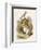 Alice and the White Rabbit-John Tenniel-Framed Photographic Print