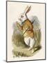 Alice and the White Rabbit-John Tenniel-Mounted Photographic Print