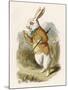 Alice and the White Rabbit-John Tenniel-Mounted Photographic Print