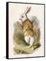 Alice and the White Rabbit-John Tenniel-Framed Stretched Canvas