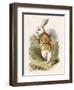 Alice and the White Rabbit-John Tenniel-Framed Premium Photographic Print