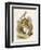 Alice and the White Rabbit-John Tenniel-Framed Premium Photographic Print