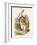 Alice and the White Rabbit-John Tenniel-Framed Premium Photographic Print