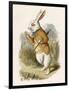 Alice and the White Rabbit-John Tenniel-Framed Photographic Print