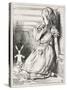 Alice and the White-John Tenniel-Stretched Canvas