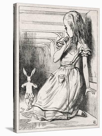 Alice and the White-John Tenniel-Stretched Canvas