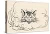 Alice: Cats Head in Cloud-Arthur Rackham-Stretched Canvas