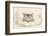 Alice: Cats Head in Cloud-Arthur Rackham-Framed Photographic Print