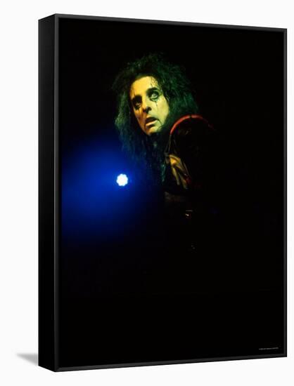 Alice Cooper-null-Framed Stretched Canvas