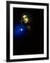 Alice Cooper-null-Framed Premium Photographic Print