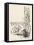 Alice: Down Rabbit-Hole-Arthur Rackham-Framed Stretched Canvas