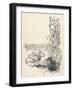 Alice: Down Rabbit-Hole-Arthur Rackham-Framed Art Print