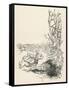 Alice: Down Rabbit-Hole-Arthur Rackham-Framed Stretched Canvas