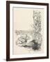 Alice: Down Rabbit-Hole-Arthur Rackham-Framed Art Print