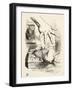 Alice Drops the White Rabbit, from 'Alice's Adventures in Wonderland' by Lewis Carroll (1832 - 98),-John Tenniel-Framed Giclee Print