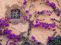 Ornamental Window, San Miguel De Allende, Mexico-Alice Garland-Mounted Premium Photographic Print