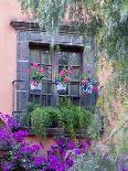 Window with Geraniums, San Miguel De Allende, Mexico-Alice Garland-Photographic Print