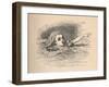 'Alice in a sea of tears', 1889-John Tenniel-Framed Giclee Print