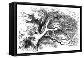 Alice in Wonderland, 1865-John Tenniel-Framed Stretched Canvas