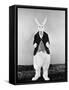 Alice in Wonderland, 1933-null-Framed Stretched Canvas