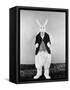 Alice in Wonderland, 1933-null-Framed Stretched Canvas