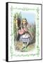 Alice in Wonderland: Alice and the Pig-Baby-John Tenniel-Framed Stretched Canvas