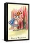 Alice in Wonderland, Alice Finds Door-null-Framed Stretched Canvas