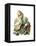 Alice in Wonderland by John Tenniel-Piddix-Framed Stretched Canvas